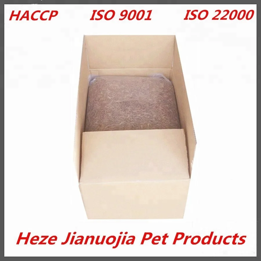 frozen mealworms dried mealworms