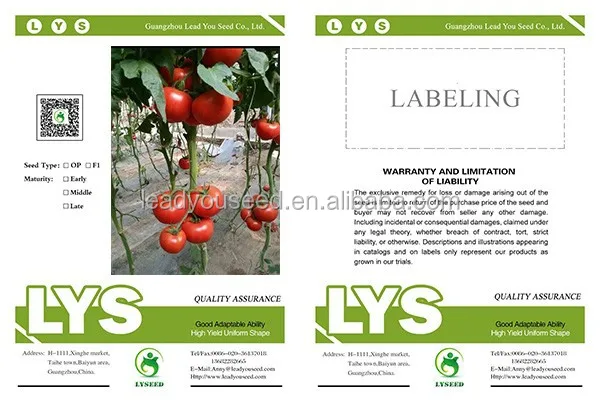 T08 Tina red hybrid tomato chinese vegetable seeds for sale