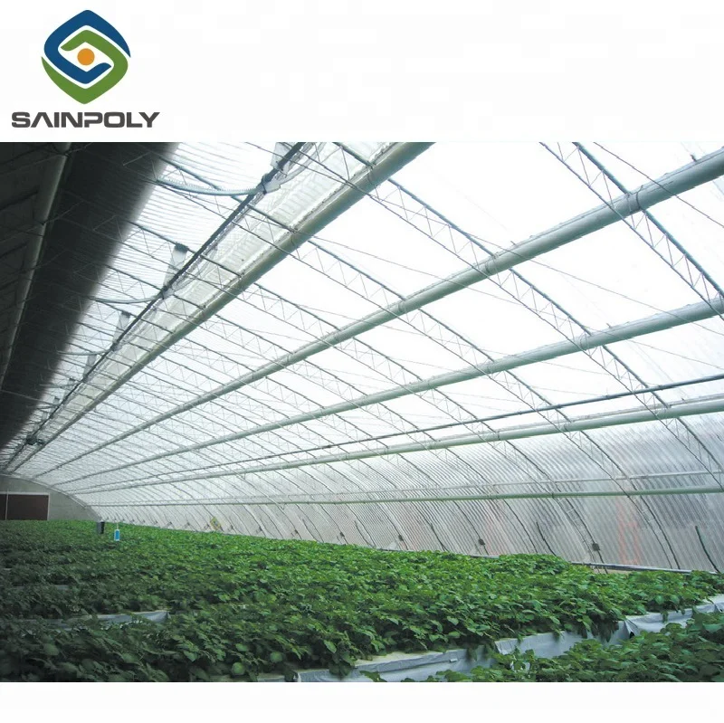 agricultural solar Hydroponic System multispan greenhouse