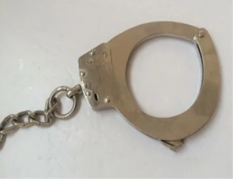 
Good quality FT-05W Leg cuffs in hot selling 