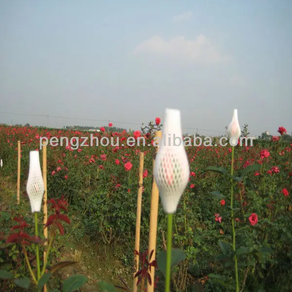 
Factory price EPE flower bud protective foam sleeve net 