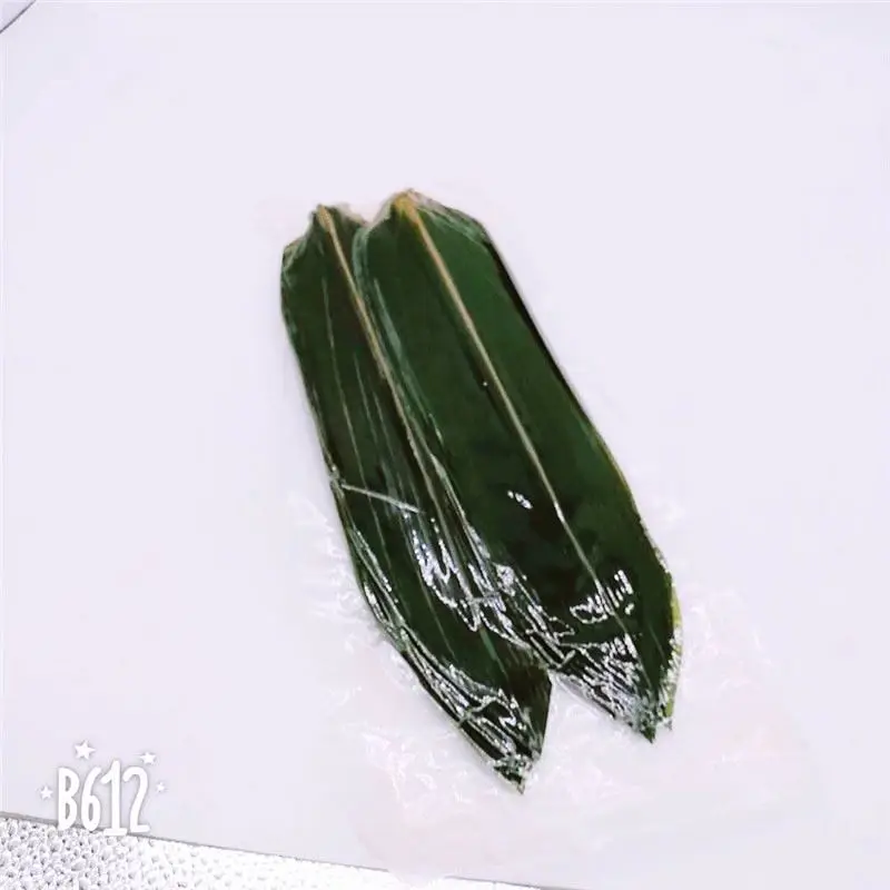 Sushi Decoration Fresh Bamboo Leaves
