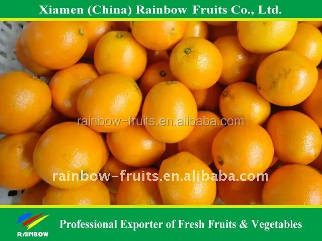 
Fresh Navel Orange Mandarin Fresh Orange Chinese Kino Pakistani Kino 