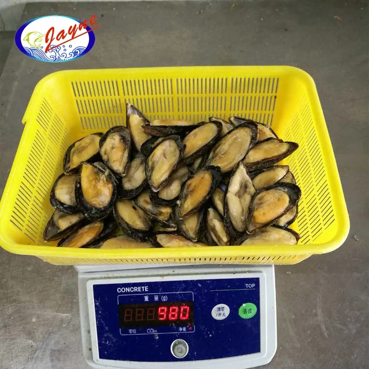  Низкая цена морепродукты моллюсков замороженная полускорлупа