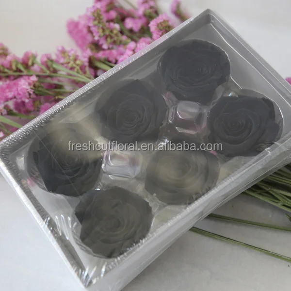 Various Hot Selling Preserved Rose Flower Multi-color Dried Rose Head Wholesale from Yunnan China