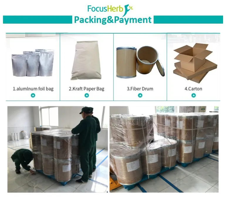 
FocusHerb Food Pigment Carmine 