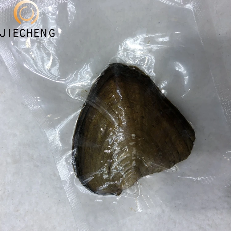 6-8 мм любовь Жемчужница ожерелье из пресноводного культивированного жемчуга в устрицы доспехах акойя качества