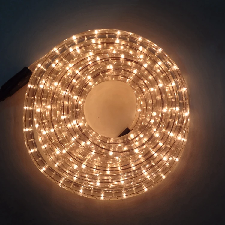 2020 PVC Best Selling Christmas Led Hose Light