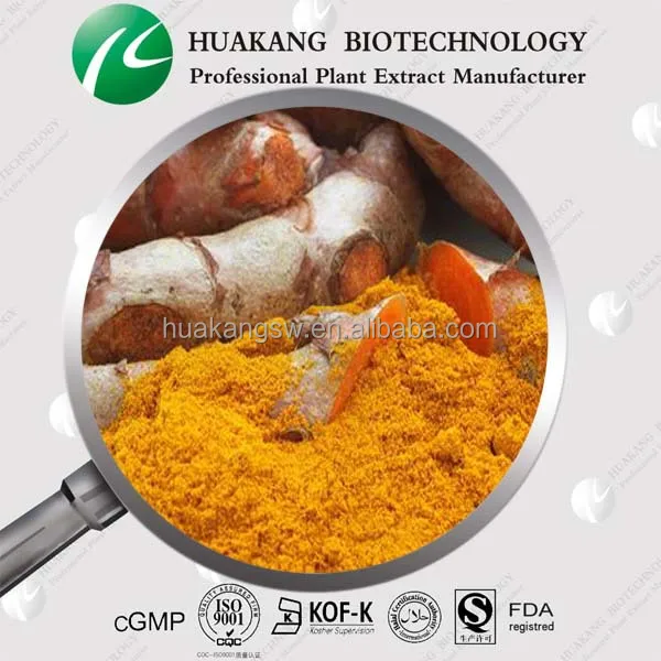 High quality Granular Curcuminoids 95% Curcumin Turmeric Extract