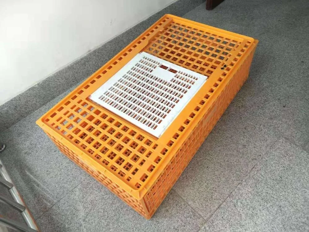 Large size poultry transport crate plastic chicken crate