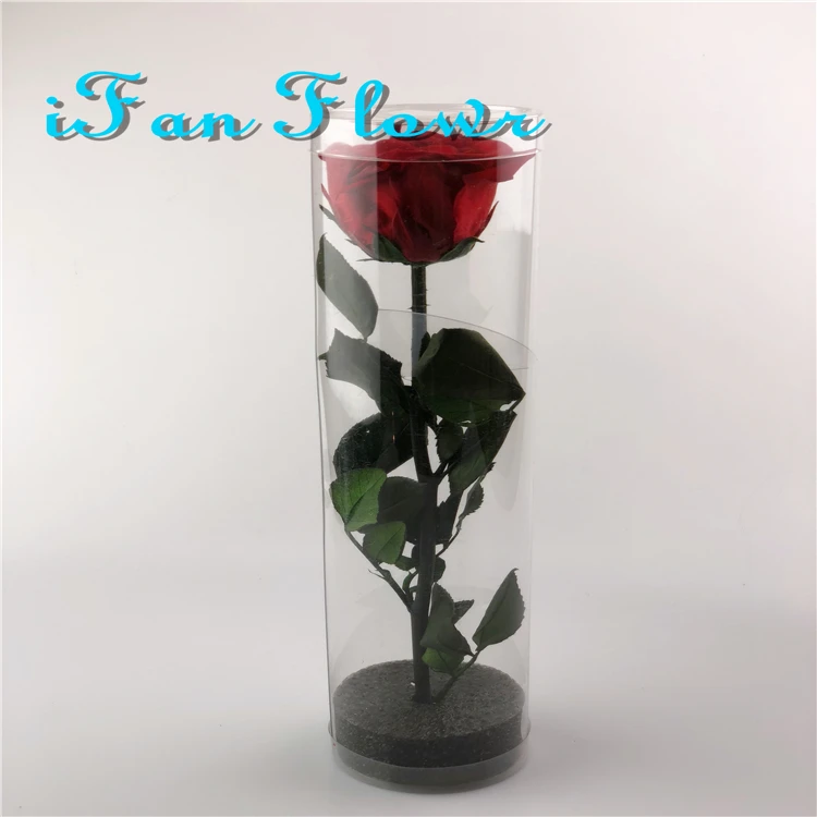Hot new crazy selling eternal flowers preserved rose in acrylic gift box