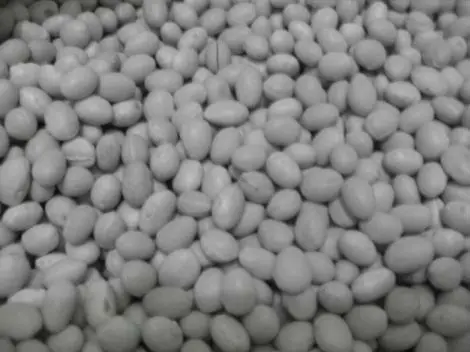 round beans (sugar beans)