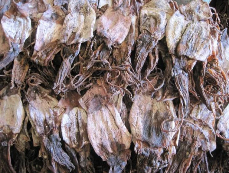 Skin on bulk cheap dried black squid for sale