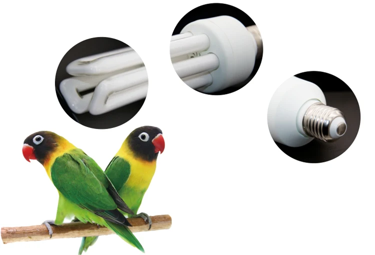 Lucky herp UVB 2.4  bird UV lamp compact fluorescent UV light lamp for captive parrot cage
