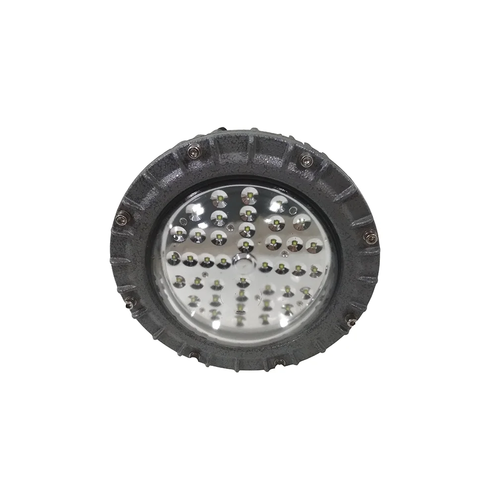 Высокое Качество СВЕТОДИОДНЫЙ взрывозащищенный свет 8800lm