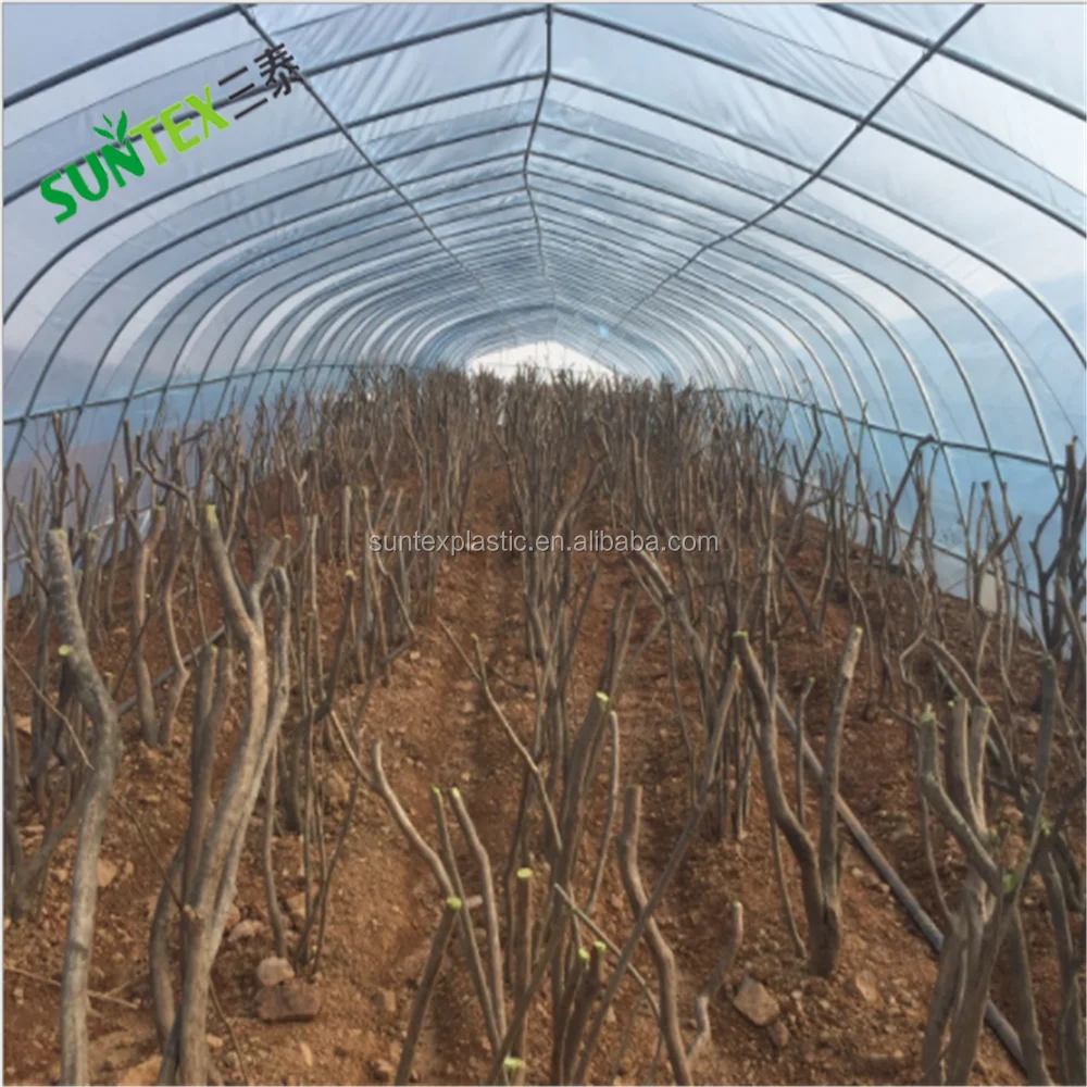 200 microns Transparent Greenhouse Film for Tomatoes  clear poly plastic greenhouse cover
