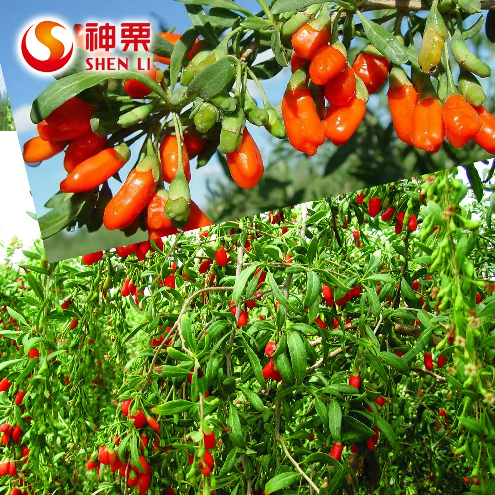 Хороший здоровый Природа вкус