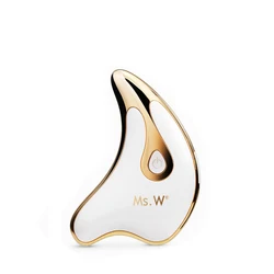 808 Korea face toner Beauty device facial limpiador facial ionic cleansing galvanic face microcurrent device