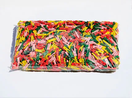 Beautiful wooden clips , wooden bag clips , wooden pegs