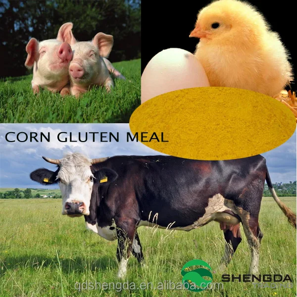 organic corn gluten meal feed