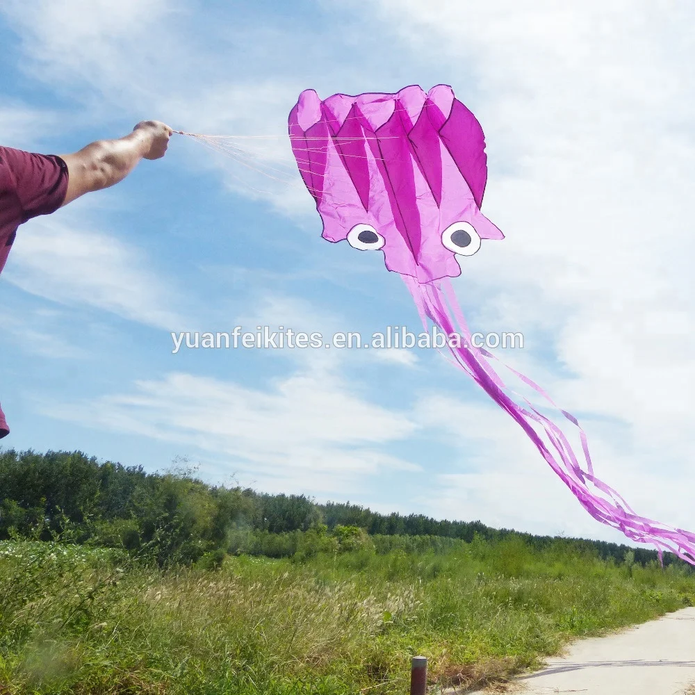 New Arrival Beautiful Large Easy Flyer Beach Kite Toy Large Octopus Kite For Kids And Adult