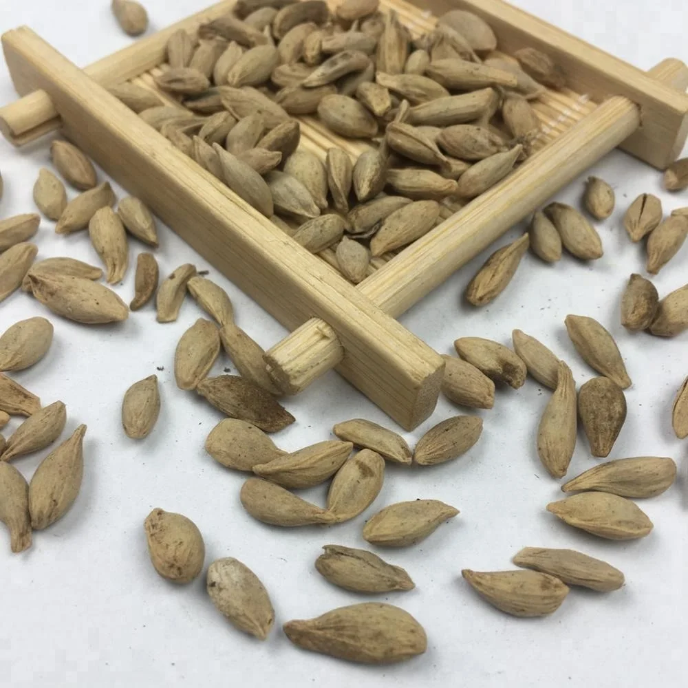 
Tropical Fruit Seeds Citrus Lime / China Limon Tree Seeds 