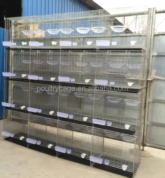 Offer Hot Sale Cheap Pigeon Box