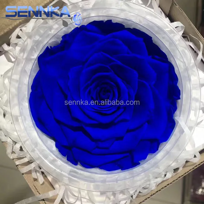 Первичный поставщик, Китай, оптовая продажа, консервированные свежие цветочные розы