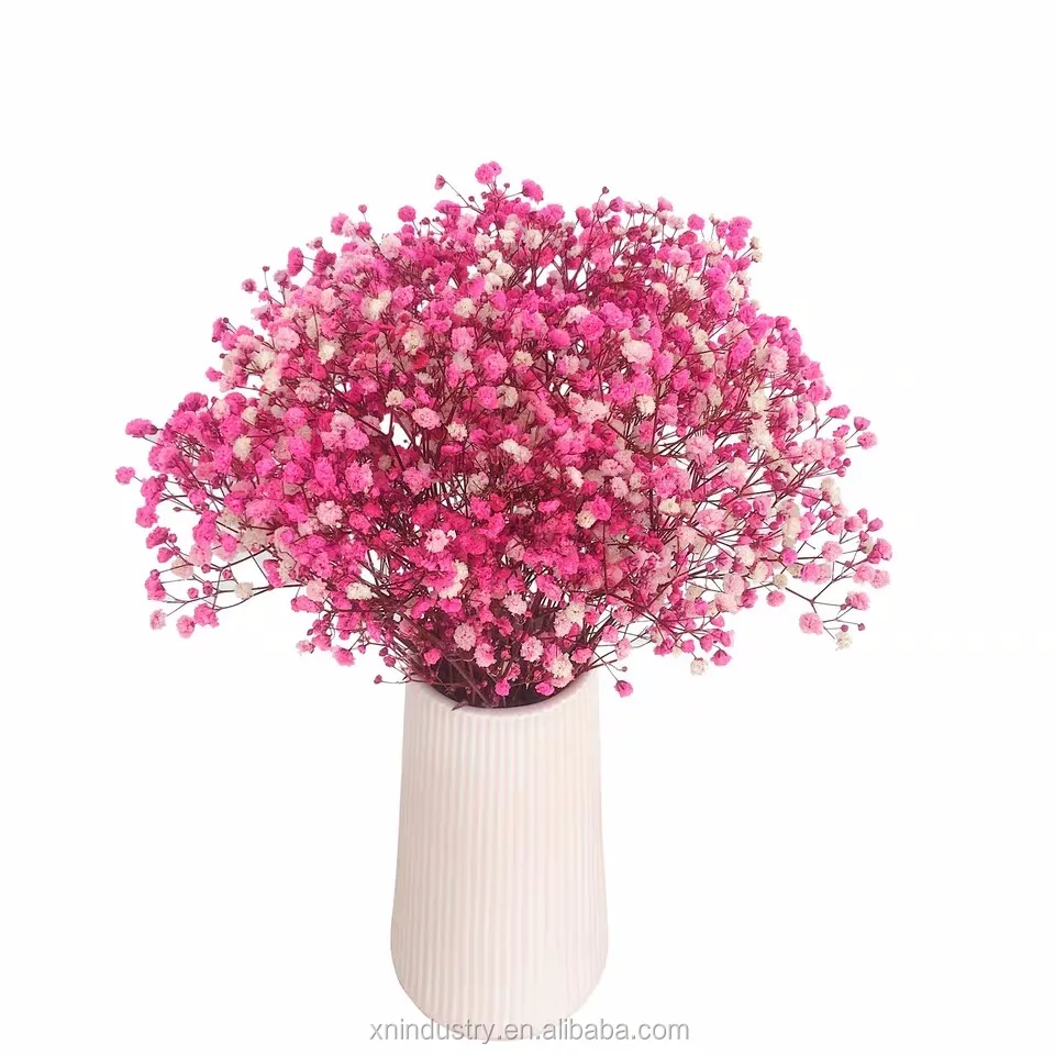 200g/pack Wedding home hotel decoration potpourri dried flowers dry mini gypsophila babysbreath flowers dried gypsophila