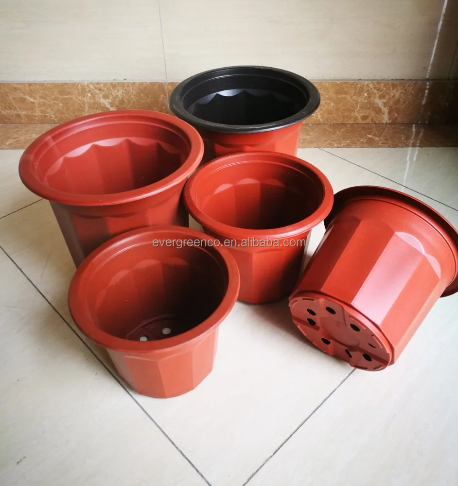 free sample thermoform plastic PP material flower planter pot for herb