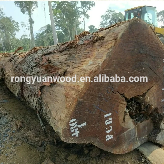 African timber Okan wood for selling