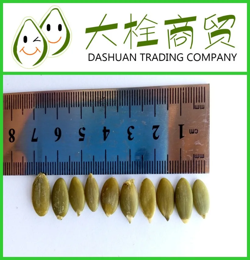 White color raw shine skin pumpkin seeds