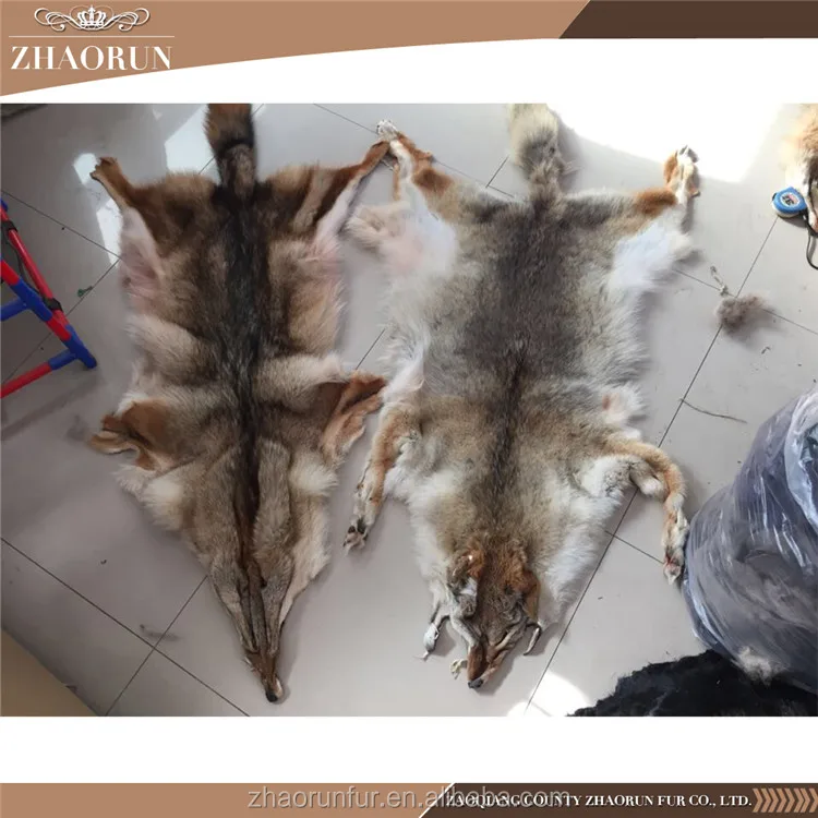 Coyote Fur Wholesale Customized Real Coyote Fur Trim Strips for Collar Parka Hood Trimming