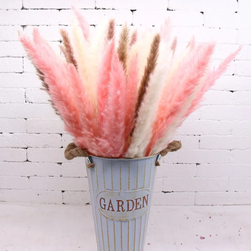 factory wholesale preserved dried natural pampas grass