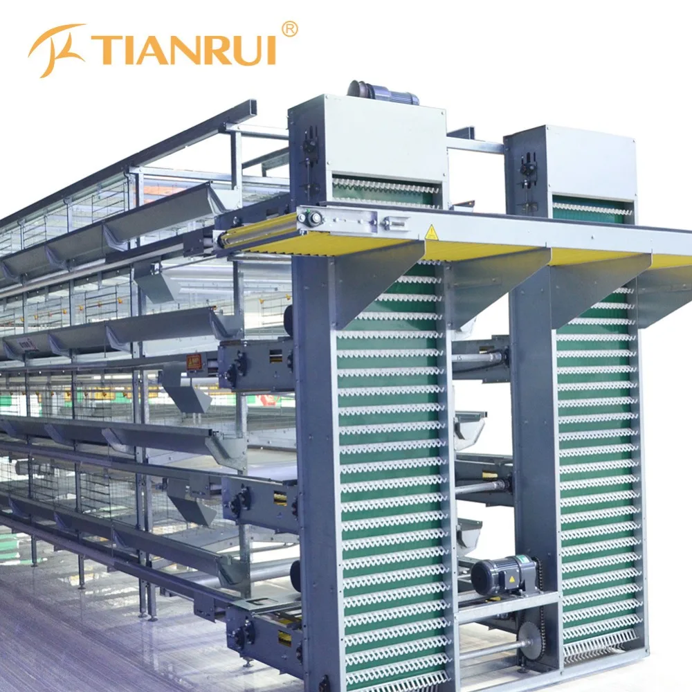 
Горячая Распродажа, автоматическое оборудование H-типа для птицеводства, яиц, кур 