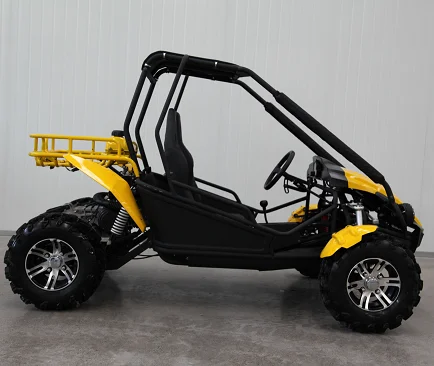 Quadriciclo 250cc off road  buggy for kids