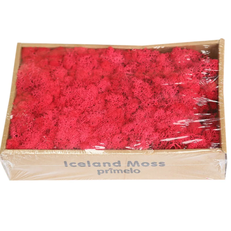 Soft Touch Preserved Moss Real Fresh Moss For   Wall Decoration