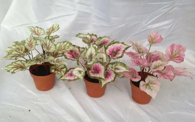 LSD-20160724931 Artificial Succulent Plant Desert Rose/Adenium Obesum Artificial Flower Green Plant Table Decoration Branches