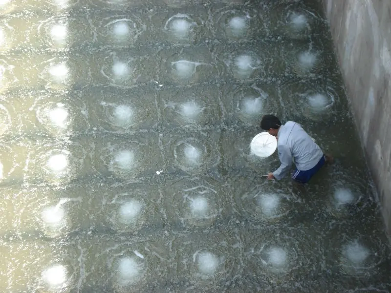 2400Pa - 3000Pa Headloss EPDM Diffused Air Aeration System 2mm Membrane For Pond