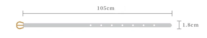 Fashion Factory Snake Print Thin PU Dress Waist Belt Multicolor