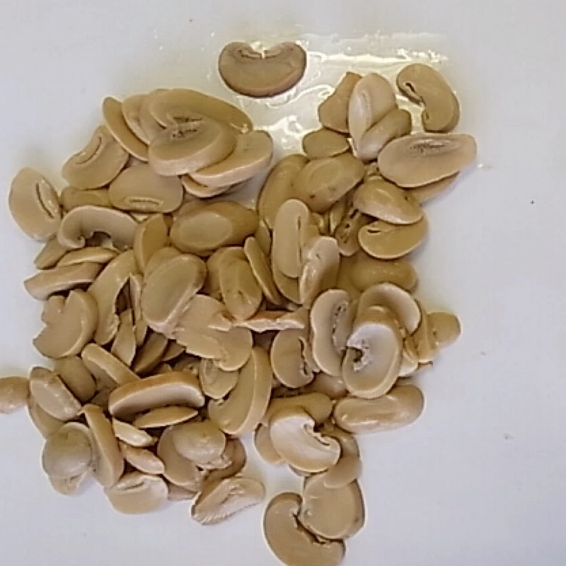 Chinese new crop mushroom canned food