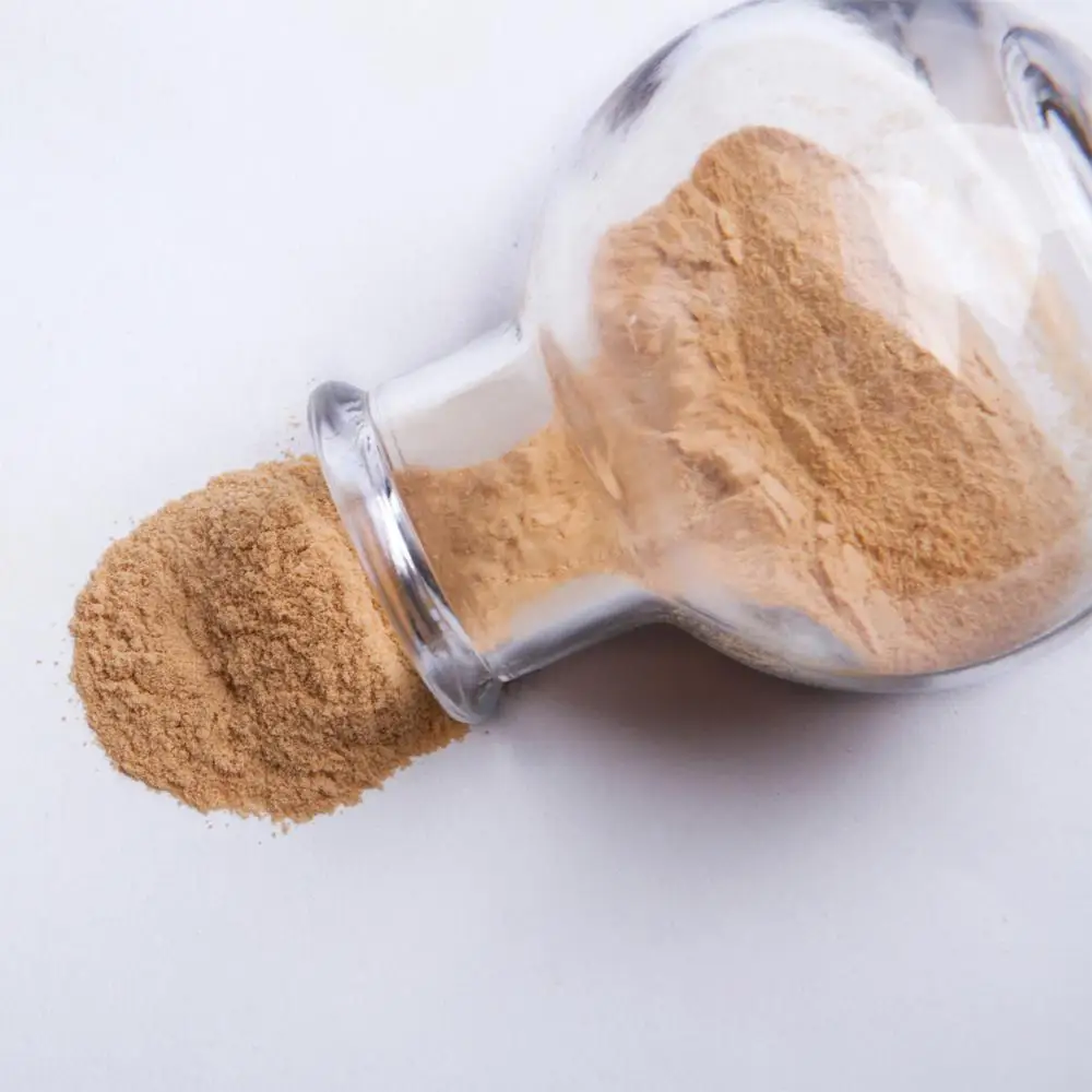 
Spray dried shiitake powder/extract 