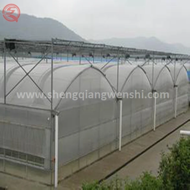Low cost agriculture plastic film home multi span tunnel greenhouse for sale