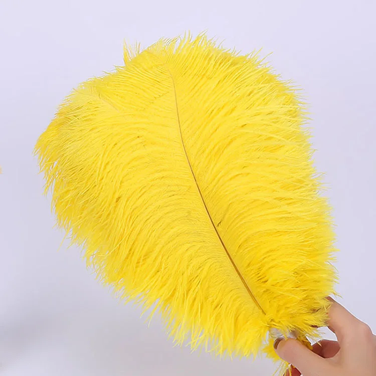 South Africa Factory Natural Cheap Color Ostrich Feather Wholesale