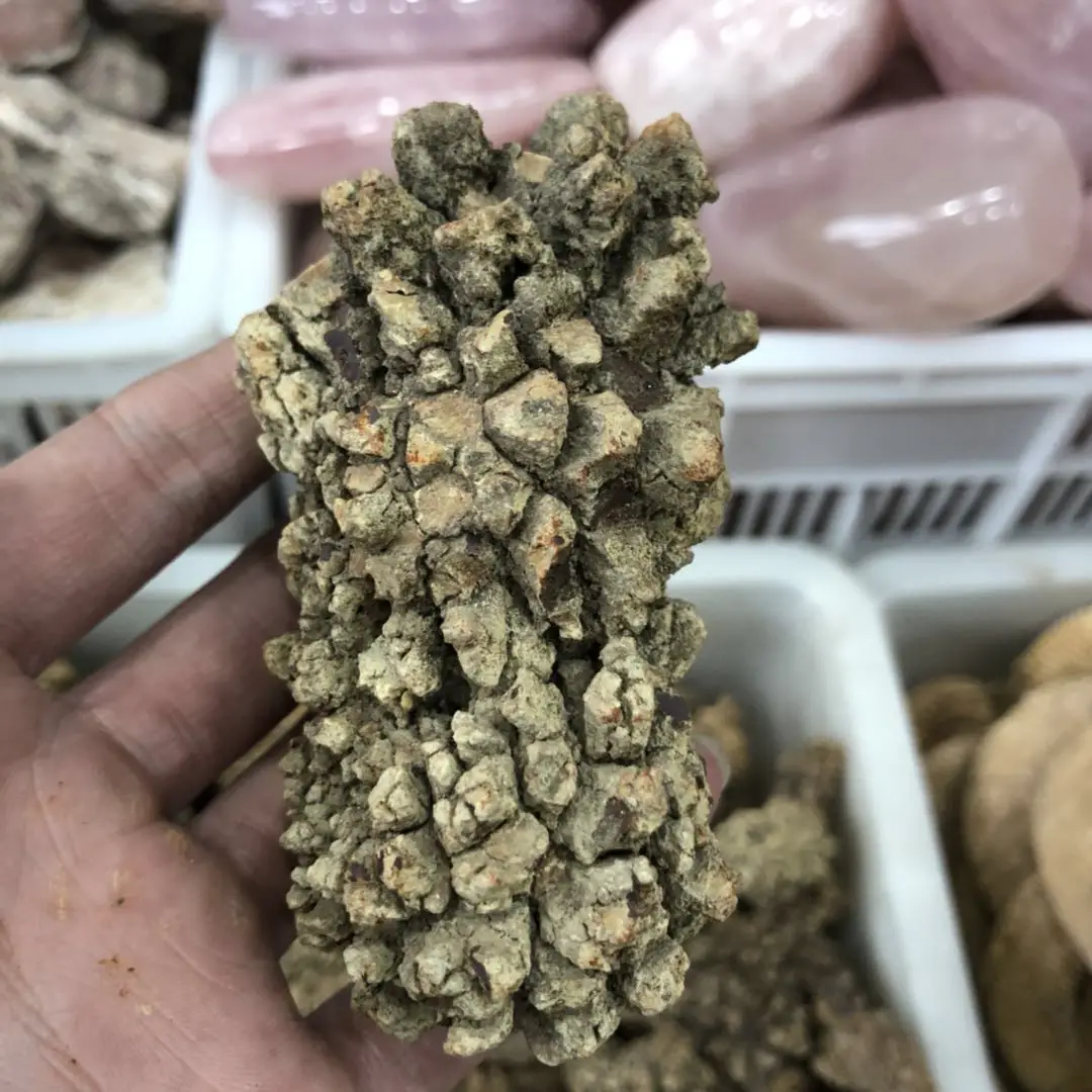 Natural Monazite Specimen Dinosaur Faeces Fossil Stone Rare Earth Minerals Dinosaur Excrement Fossil