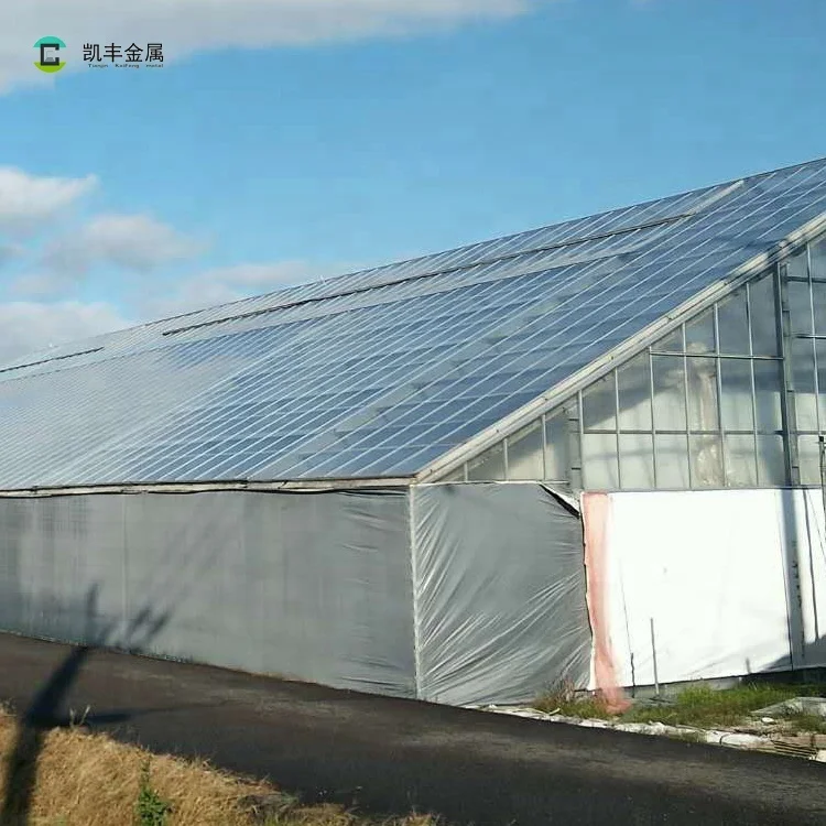 Green Houses Supplier Single or Multi-Span PC Greenhouse