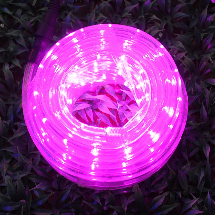 2020 ПВХ мигающий 50 метров 12 в автомобильный уличный 100 м украшение Rgbw 24 Вольт 220 В Rgb светодиодный светильник для бассейна