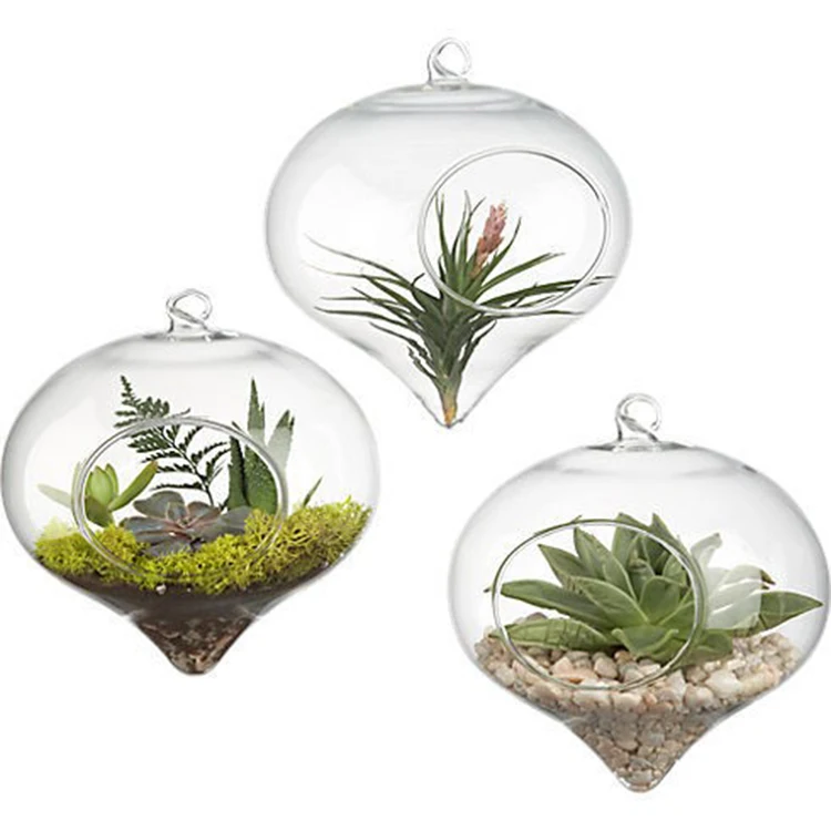 
Borosilicate Decorative Custom Glass Terrarium Hanging Air Planter Vase 