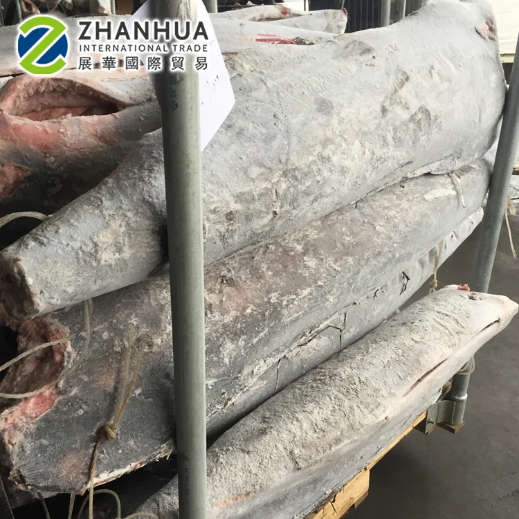 Black Marlin Wholesale HGT Frozen Blue Marlin