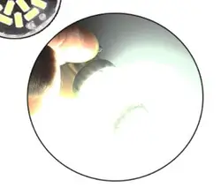 White/Amber Canbus 1156/BAU15S 3156 7440 7443 led 144smd 3014 turn signal light brake light bulbs